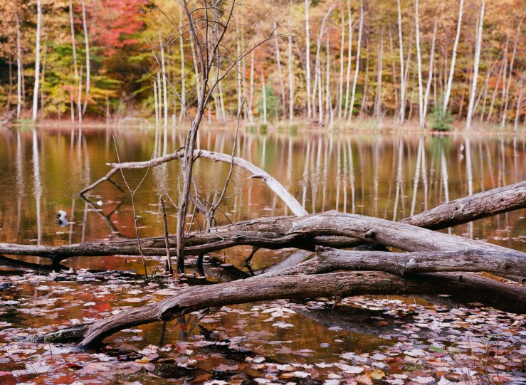 LDC_20181108_81990002