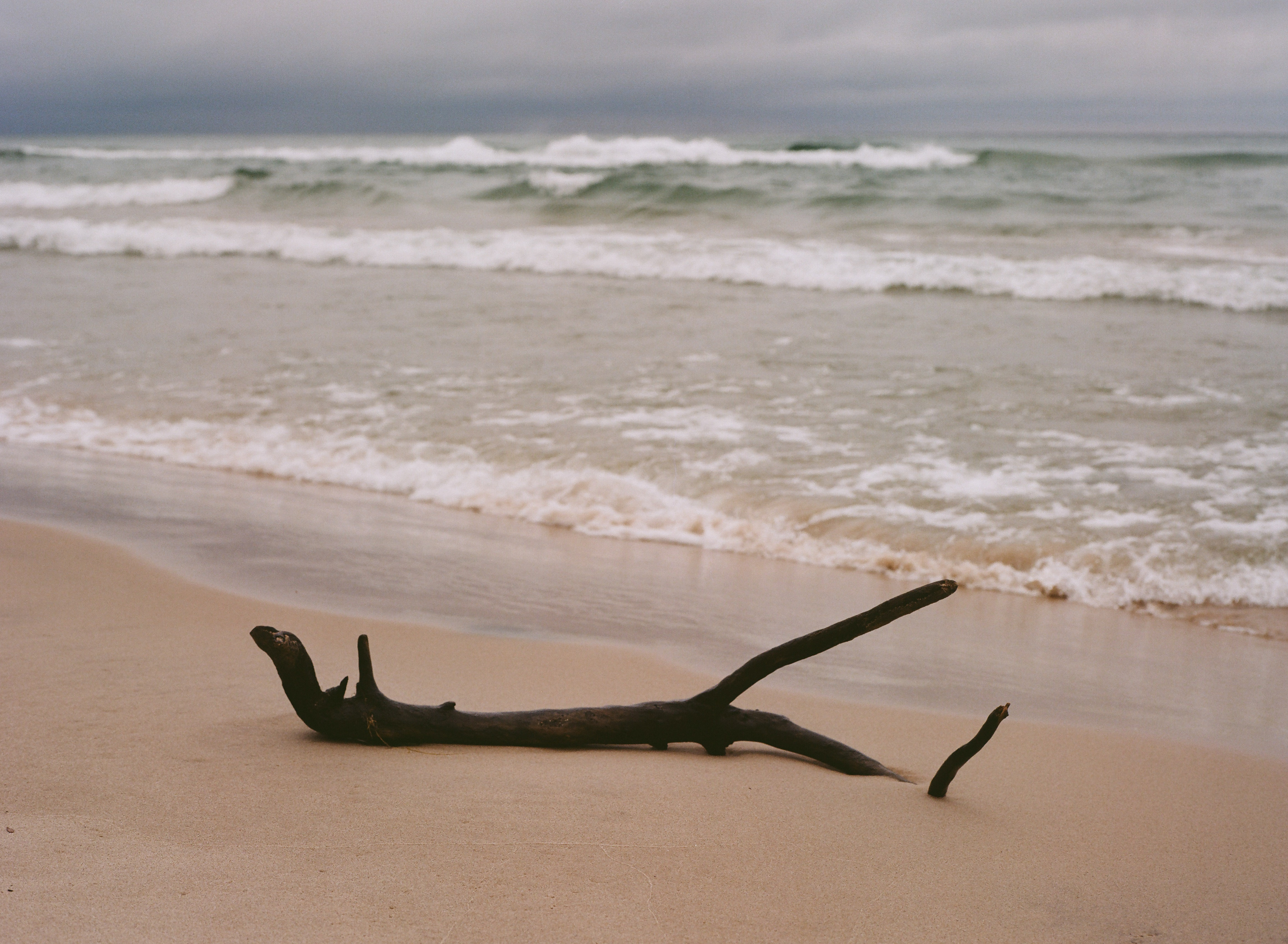 LDC_20181108_82040001